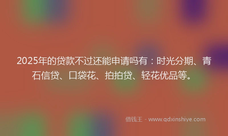 2025年的贷款不过还能申请吗有：时光分期、青石信贷、口袋花、拍拍贷、轻花优品等。