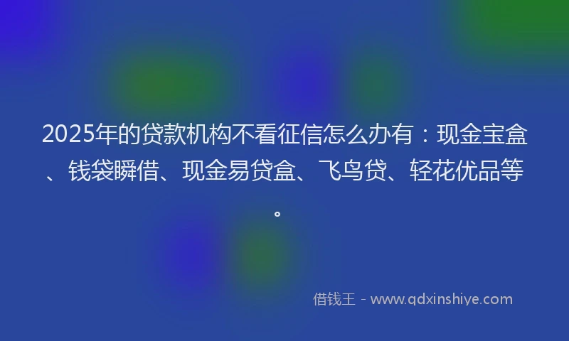 2025年的贷款机构不看征信怎么办有：现金宝盒、钱袋瞬借、现金易贷盒、飞鸟贷、轻花优品等。