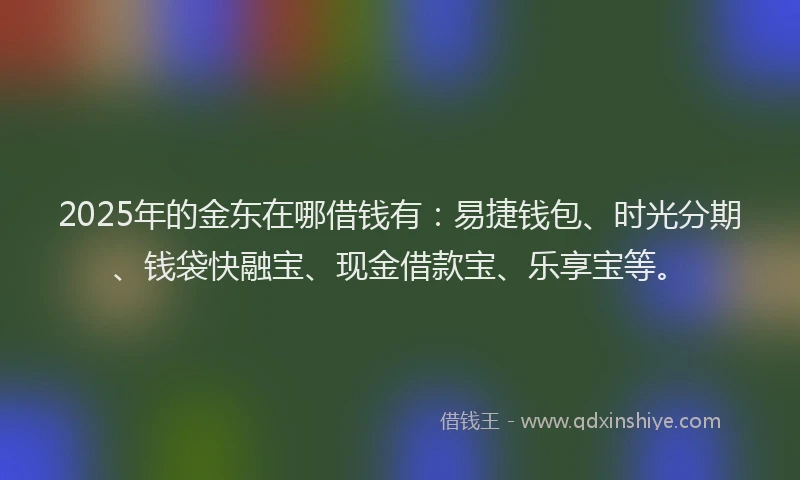 2025年的金东在哪借钱有：易捷钱包、时光分期、钱袋快融宝、现金借款宝、乐享宝等。