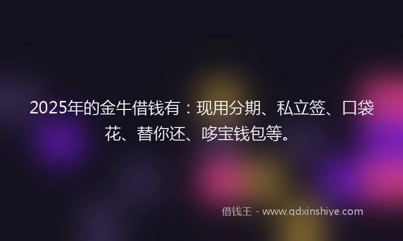 2025年的金牛借钱有：现用分期、私立签、口袋花、替你还、哆宝钱包等。