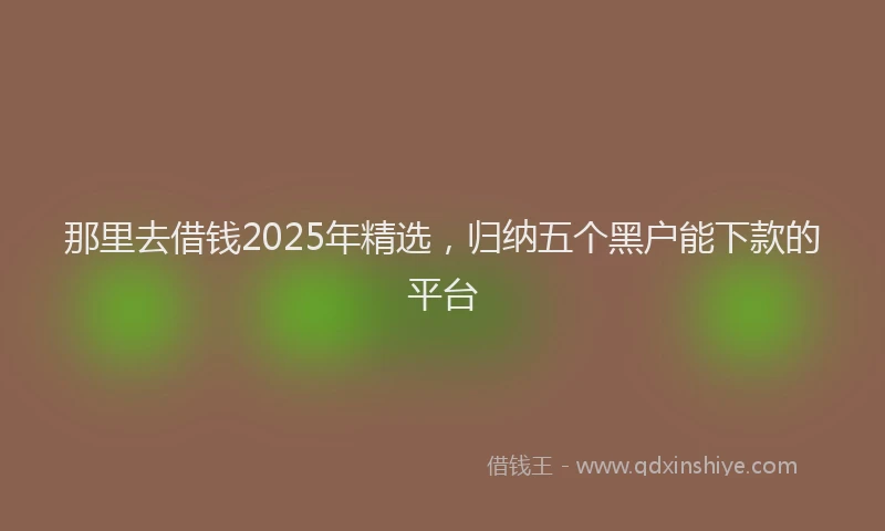 那里去借钱2025年精选，归纳五个黑户能下款的平台