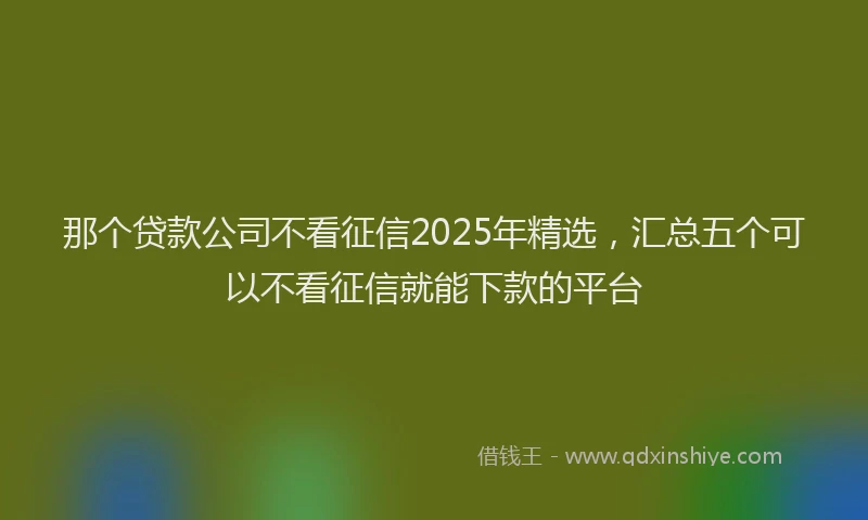那个贷款公司不看征信2025年精选，汇总五个可以不看征信就能下款的平台