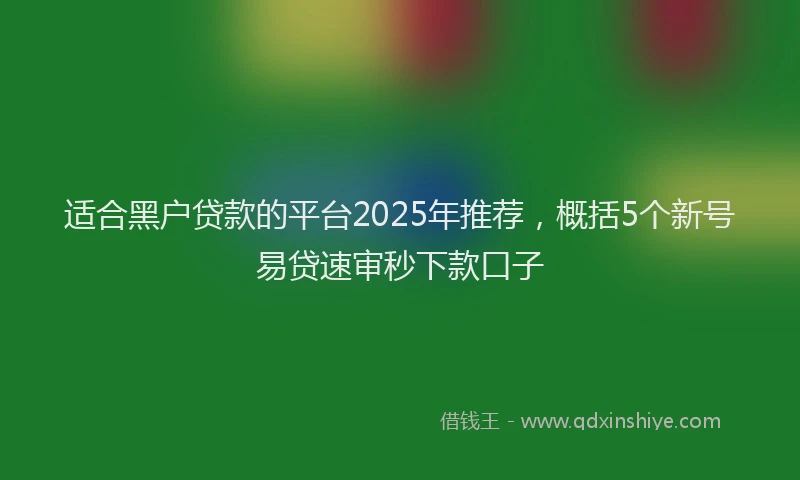 适合黑户贷款的平台2025年推荐，概括5个新号易贷速审秒下款口子