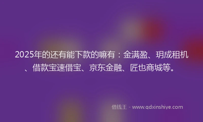 2025年的还有能下款的嘛有：金满盈、玥成租机、借款宝速借宝、京东金融、匠也商城等。