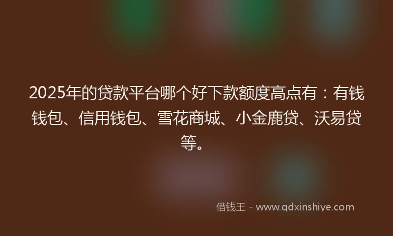 2025年的贷款平台哪个好下款额度高点有：有钱钱包、信用钱包、雪花商城、小金鹿贷、沃易贷等。