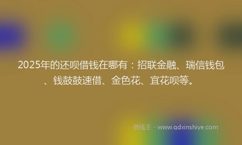 2025年的还呗借钱在哪有：招联金融、瑞信钱包、钱鼓鼓速借、金色花、宜花呗等。