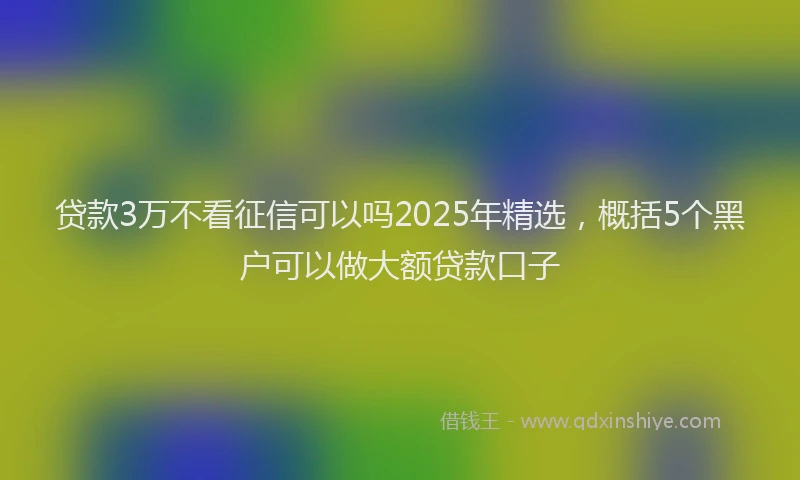 贷款3万不看征信可以吗2025年精选，概括5个黑户可以做大额贷款口子