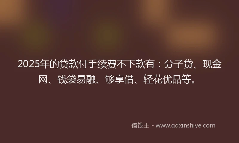 2025年的贷款付手续费不下款有：分子贷、现金网、钱袋易融、够享借、轻花优品等。