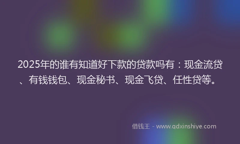 2025年的谁有知道好下款的贷款吗有：现金流贷、有钱钱包、现金秘书、现金飞贷、任性贷等。