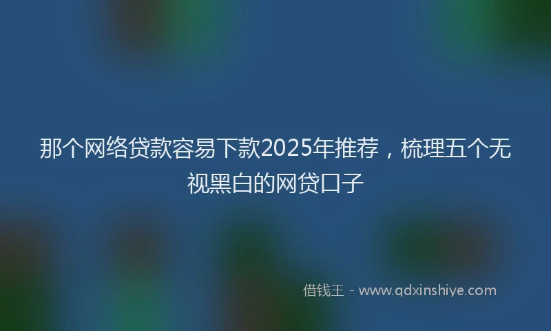 那个网络贷款容易下款2025年推荐，梳理五个无视黑白的网贷口子