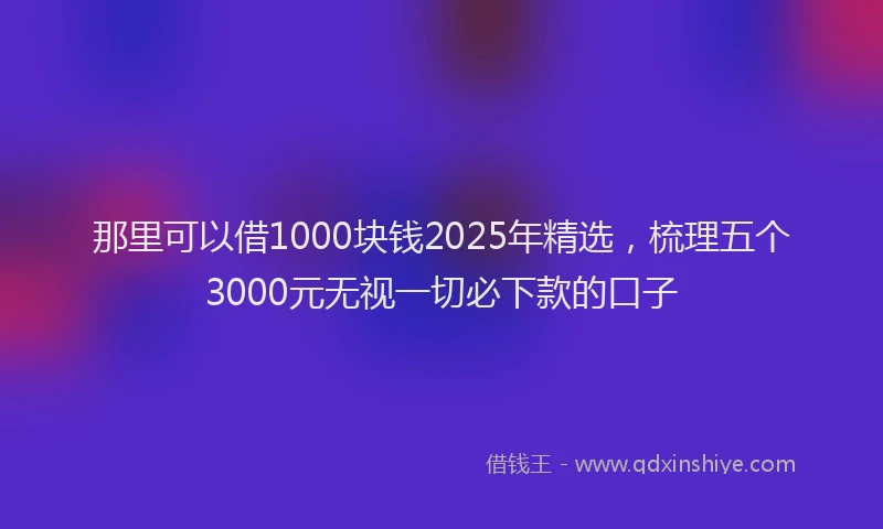 那里可以借1000块钱2025年精选，梳理五个3000元无视一切必下款的口子