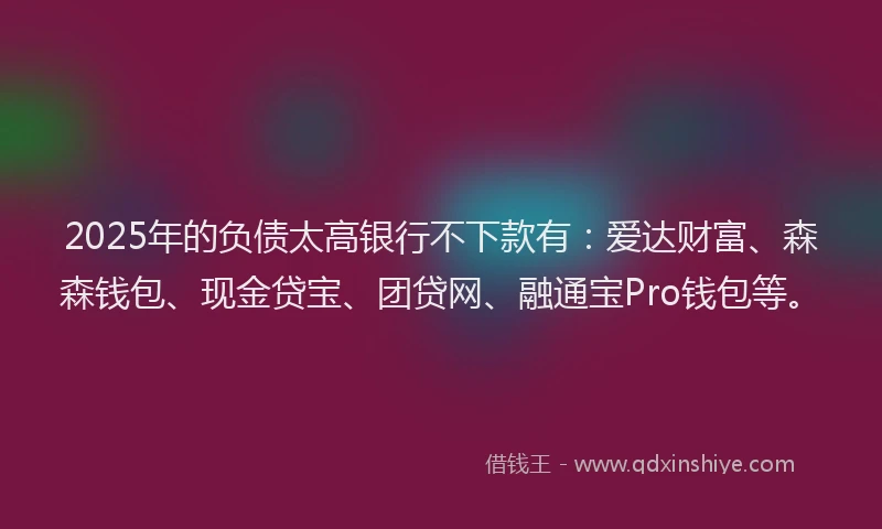 2025年的负债太高银行不下款有：爱达财富、森森钱包、现金贷宝、团贷网、融通宝Pro钱包等。