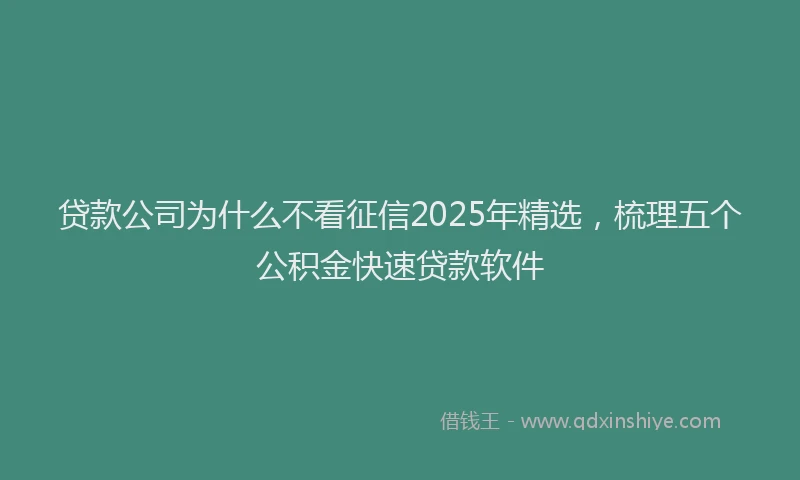 贷款公司为什么不看征信2025年精选，梳理五个公积金快速贷款软件