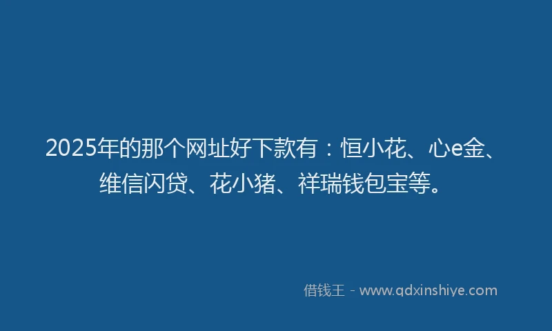 2025年的那个网址好下款有：恒小花、心e金、维信闪贷、花小猪、祥瑞钱包宝等。