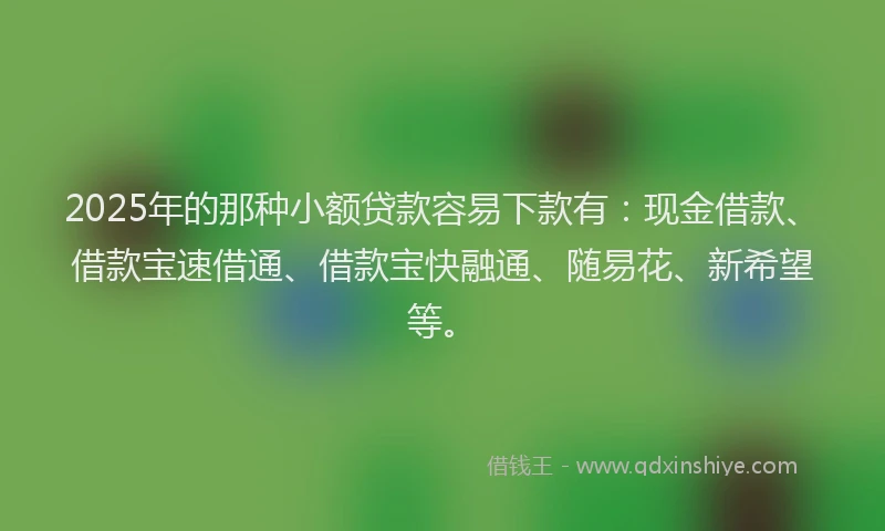 2025年的那种小额贷款容易下款有：现金借款、借款宝速借通、借款宝快融通、随易花、新希望等。
