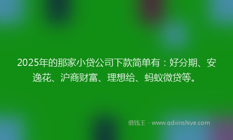 2025年的那家小贷公司下款简单有：好分期、安逸花、沪商财富、理想给、蚂蚁微贷等。