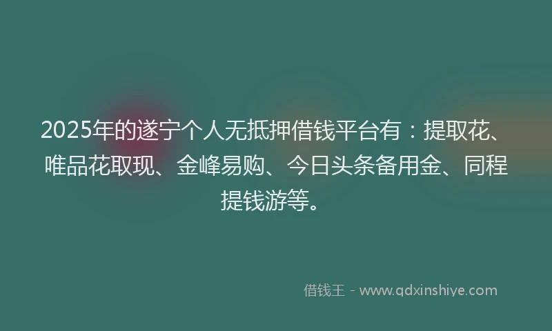 2025年的遂宁个人无抵押借钱平台有：提取花、唯品花取现、金峰易购、今日头条备用金、同程提钱游等。