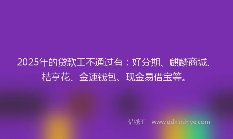 2025年的贷款王不通过有：好分期、麒麟商城、桔享花、金速钱包、现金易借宝等。