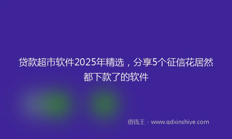 贷款超市软件2025年精选，分享5个征信花居然都下款了的软件