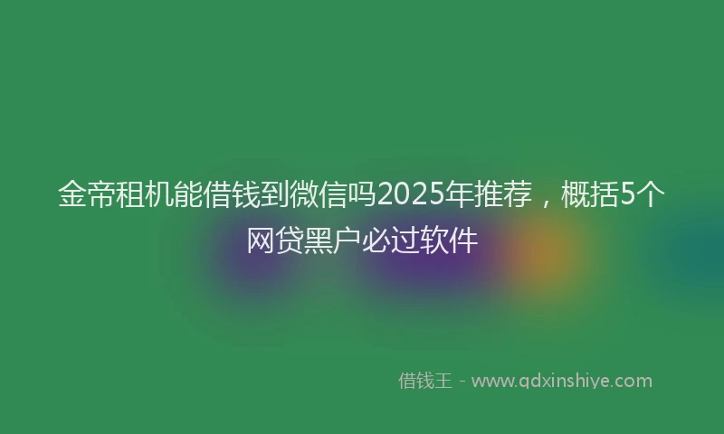 金帝租机能借钱到微信吗2025年推荐，概括5个网贷黑户必过软件