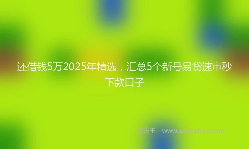 还借钱5万2025年精选，汇总5个新号易贷速审秒下款口子
