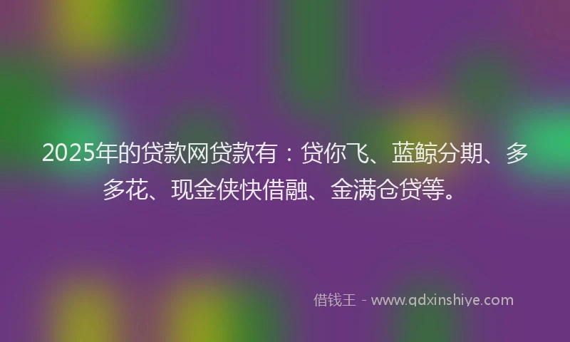 2025年的贷款网贷款有：贷你飞、蓝鲸分期、多多花、现金侠快借融、金满仓贷等。