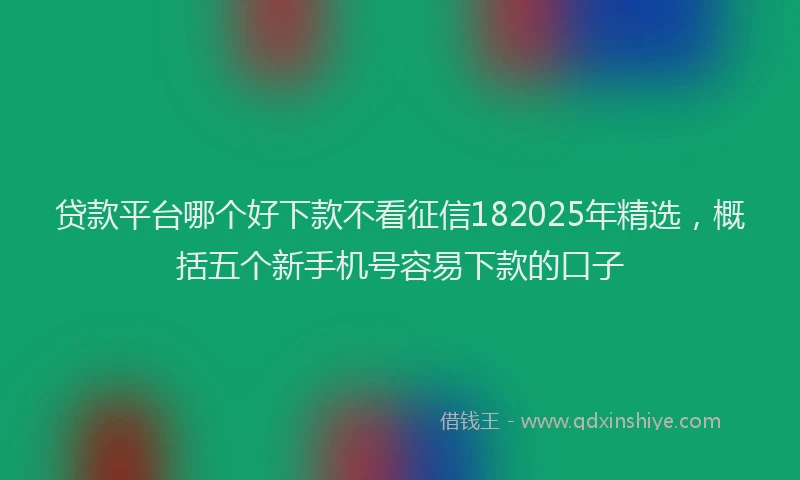 贷款平台哪个好下款不看征信182025年精选，概括五个新手机号容易下款的口子
