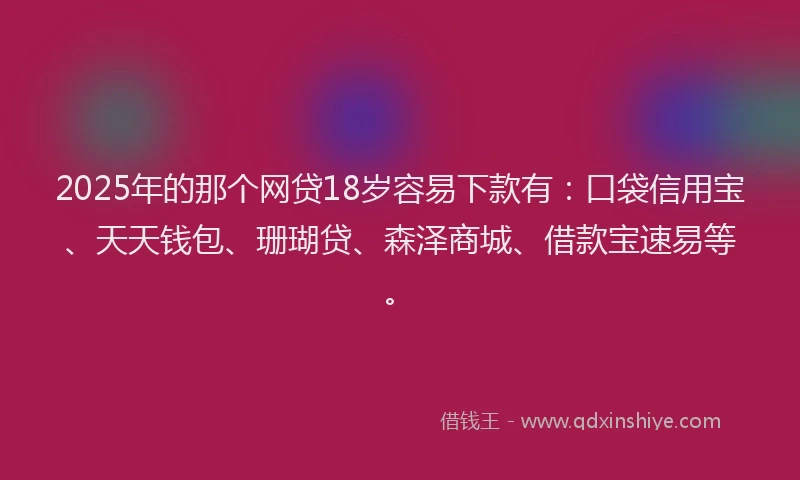 2025年的那个网贷18岁容易下款有：口袋信用宝、天天钱包、珊瑚贷、森泽商城、借款宝速易等。