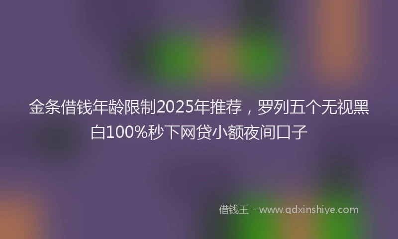 金条借钱年龄限制2025年推荐，罗列五个无视黑白100%秒下网贷小额夜间口子