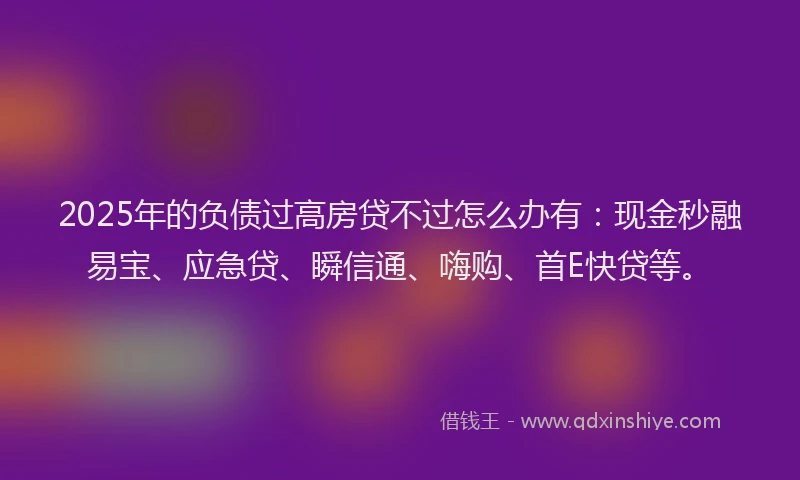 2025年的负债过高房贷不过怎么办有：现金秒融易宝、应急贷、瞬信通、嗨购、首E快贷等。