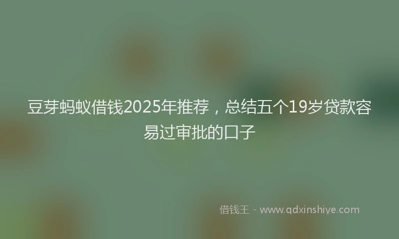 豆芽蚂蚁借钱2025年推荐，总结五个19岁贷款容易过审批的口子
