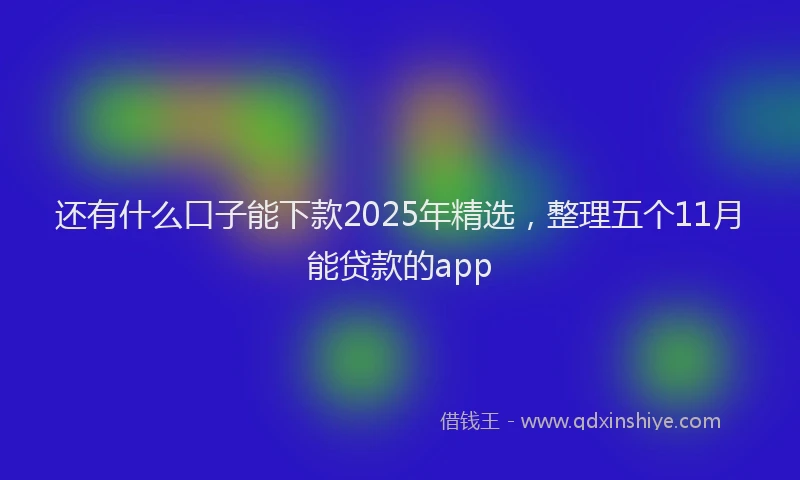 还有什么口子能下款2025年精选，整理五个11月能贷款的app