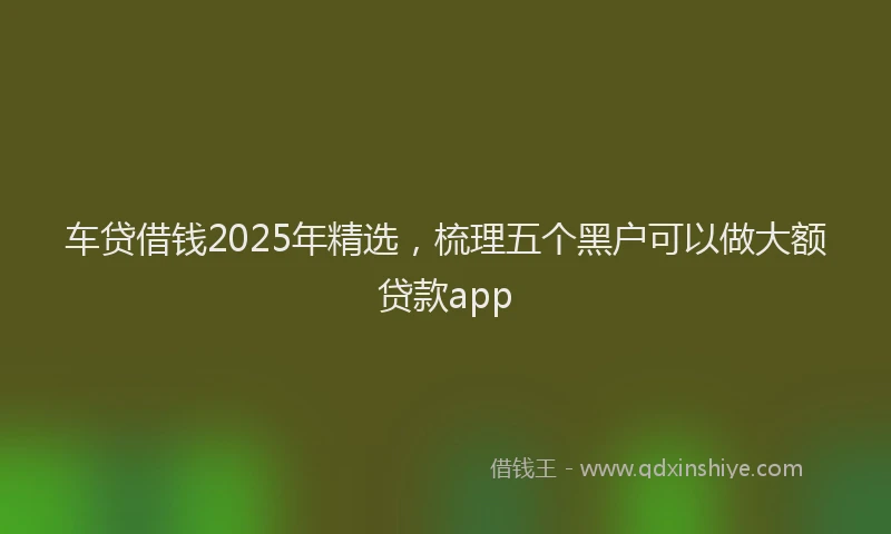 车贷借钱2025年精选，梳理五个黑户可以做大额贷款app