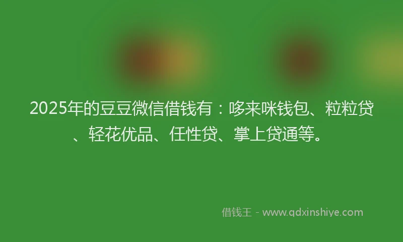 2025年的豆豆微信借钱有：哆来咪钱包、粒粒贷、轻花优品、任性贷、掌上贷通等。