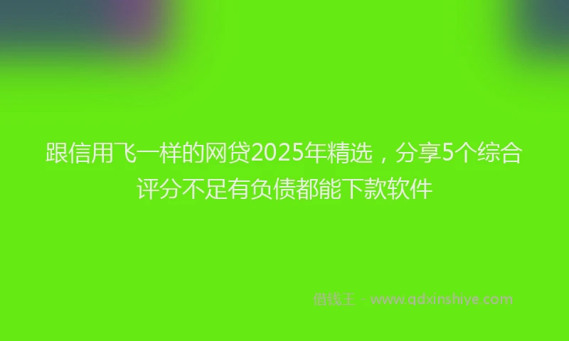 跟信用飞一样的网贷2025年精选，分享5个综合评分不足有负债都能下款软件
