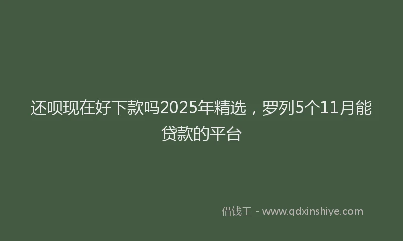 还呗现在好下款吗2025年精选，罗列5个11月能贷款的平台