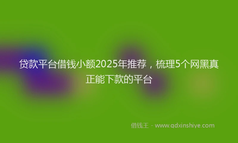 贷款平台借钱小额2025年推荐，梳理5个网黑真正能下款的平台