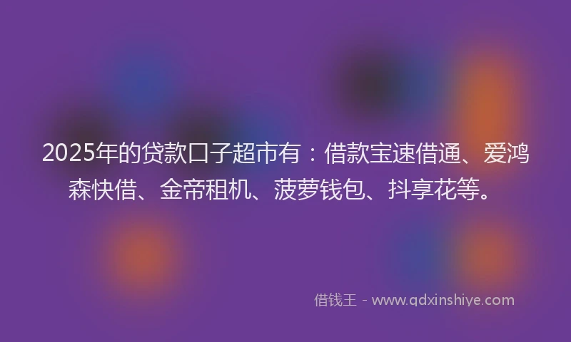 2025年的贷款口子超市有：借款宝速借通、爱鸿森快借、金帝租机、菠萝钱包、抖享花等。