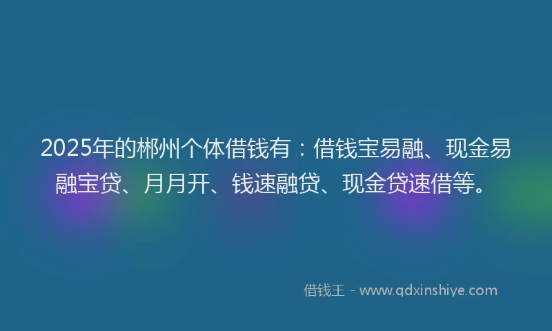 2025年的郴州个体借钱有：借钱宝易融、现金易融宝贷、月月开、钱速融贷、现金贷速借等。