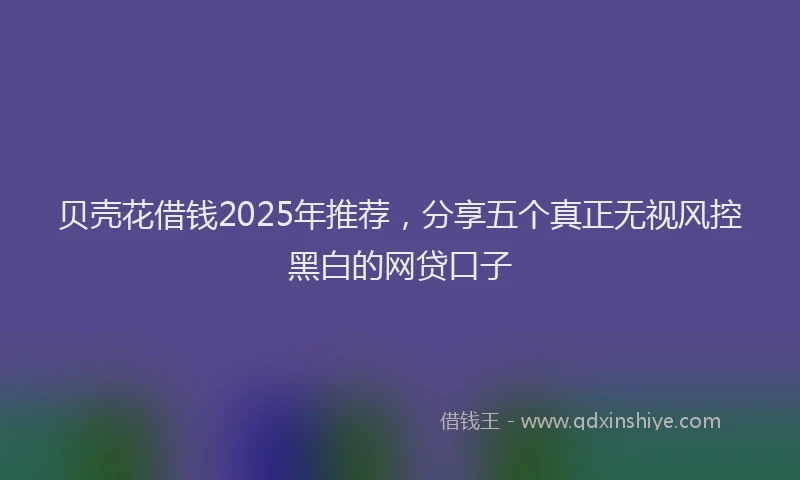 贝壳花借钱2025年推荐，分享五个真正无视风控黑白的网贷口子
