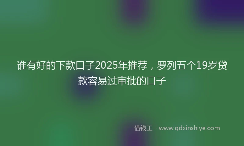 谁有好的下款口子2025年推荐，罗列五个19岁贷款容易过审批的口子