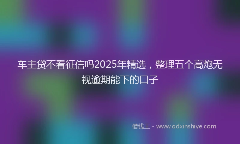 车主贷不看征信吗2025年精选，整理五个高炮无视逾期能下的口子