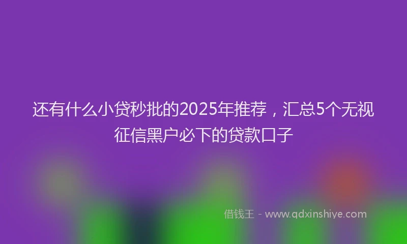 还有什么小贷秒批的2025年推荐，汇总5个无视征信黑户必下的贷款口子