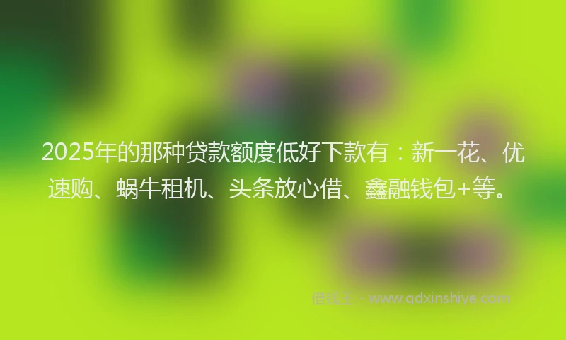 2025年的那种贷款额度低好下款有：新一花、优速购、蜗牛租机、头条放心借、鑫融钱包+等。