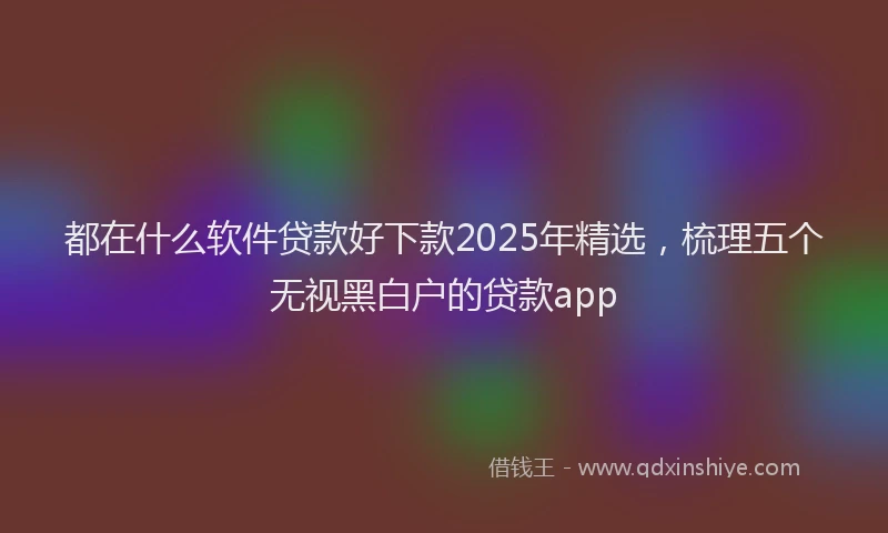 都在什么软件贷款好下款2025年精选，梳理五个无视黑白户的贷款app