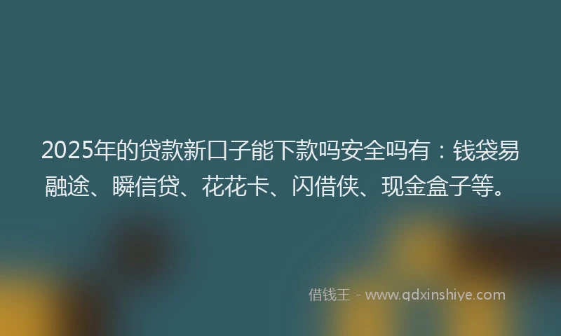 2025年的贷款新口子能下款吗安全吗有：钱袋易融途、瞬信贷、花花卡、闪借侠、现金盒子等。