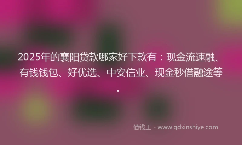 2025年的襄阳贷款哪家好下款有：现金流速融、有钱钱包、好优选、中安信业、现金秒借融途等。