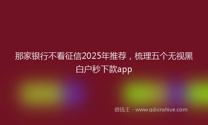 那家银行不看征信2025年推荐，梳理五个无视黑白户秒下款app