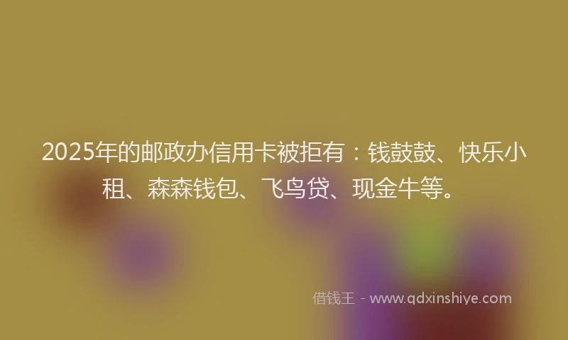 2025年的邮政办信用卡被拒有：钱鼓鼓、快乐小租、森森钱包、飞鸟贷、现金牛等。