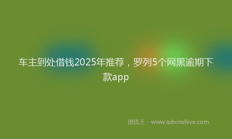 车主到处借钱2025年推荐，罗列5个网黑逾期下款app